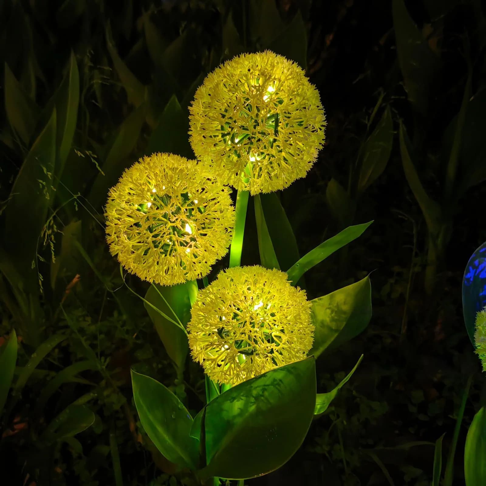 Solcelle dandelion pindehavebelysning